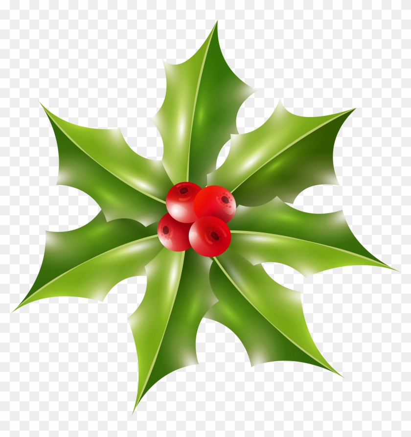 Xmas Holly Png Clip Art Image - Bromelia Transparent Png #517643