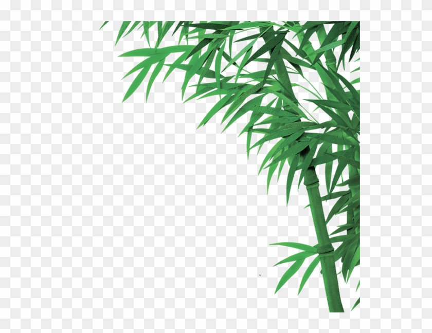 Bamboo Png, Download Png Image With Transparent Background, - Bamboo Clipart