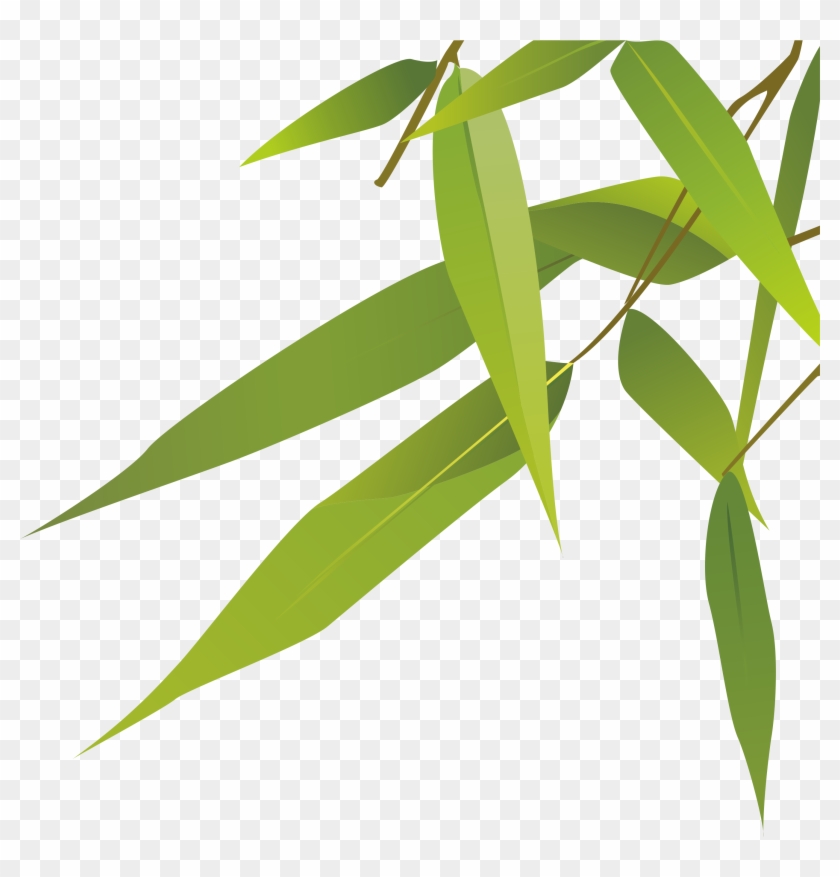 2672 X 2665 12 - Epidendrum Clipart #517971