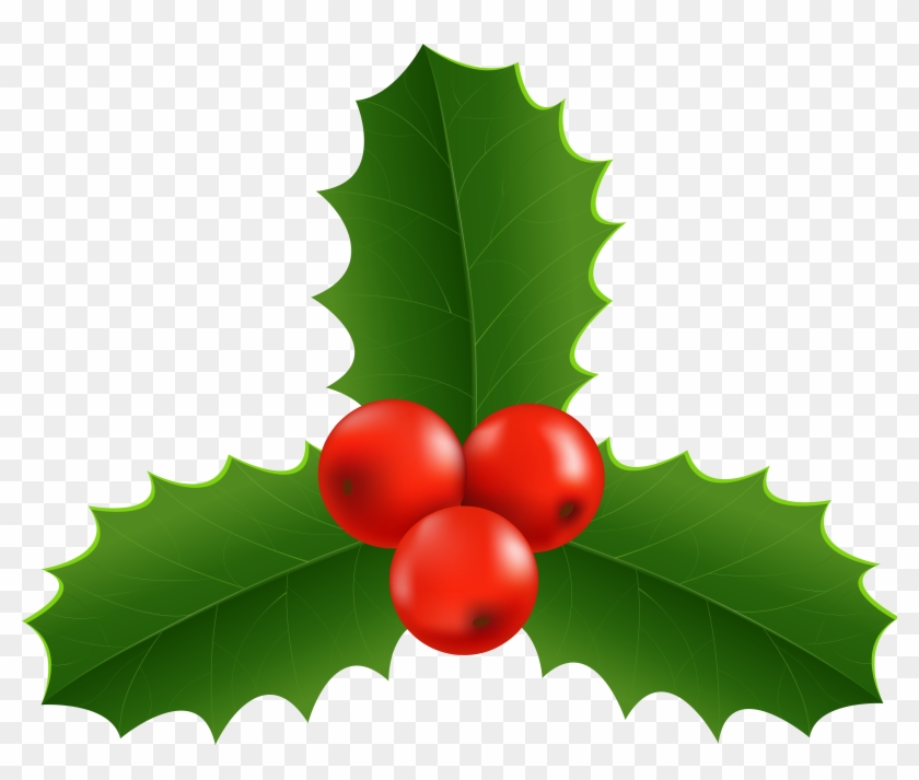 Christmas Holly Png - American Holly Clipart #518113