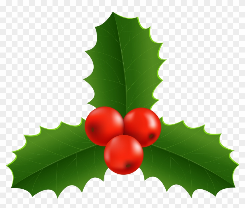 Christmas Holly Png - American Holly Clipart