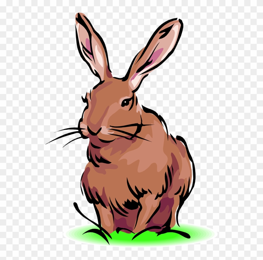 Easter Bunny Clip Art Rabbit Animals Clip Art Downloadclipart - Definition Hare - Png Download #518265