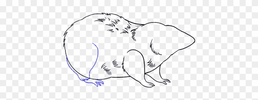 Rat Clipart Transparent Png - Drawing #518287