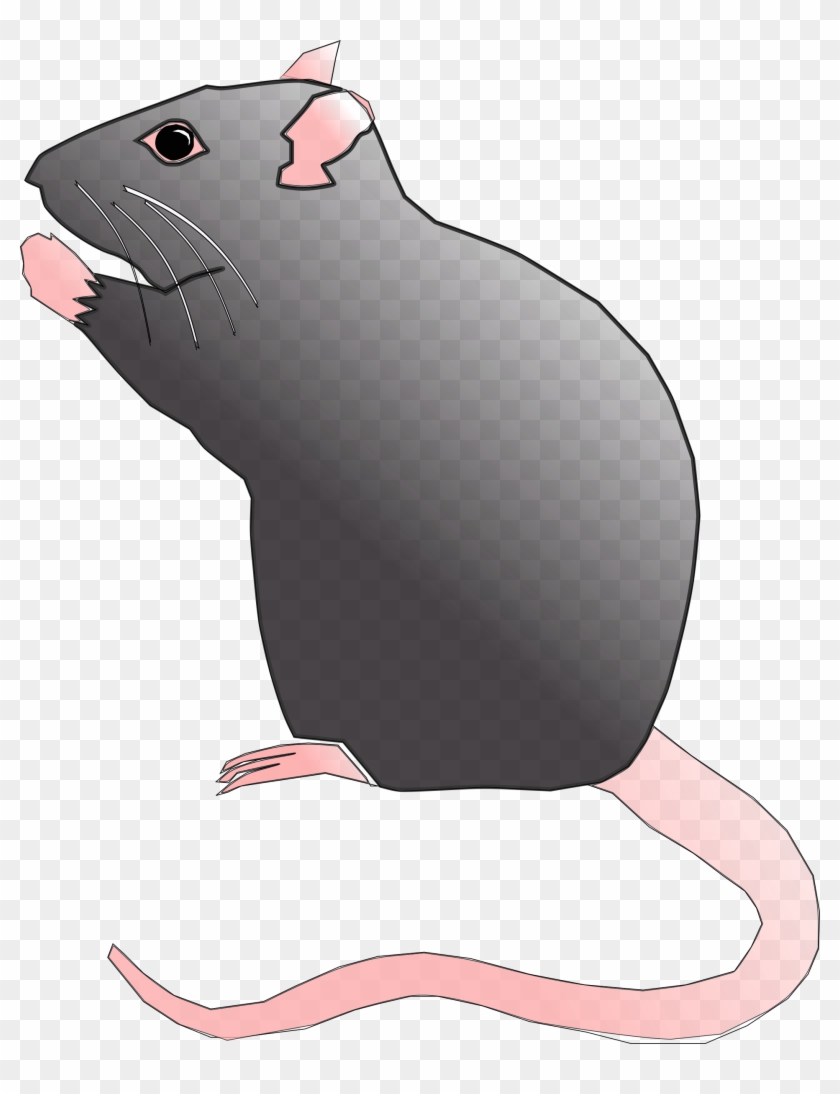 Clipart Rat Cute Rat - Cute Rat Clipart - Png Download #518404