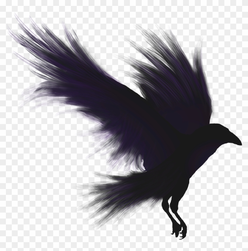 Crows Shadow Emblem Clipart