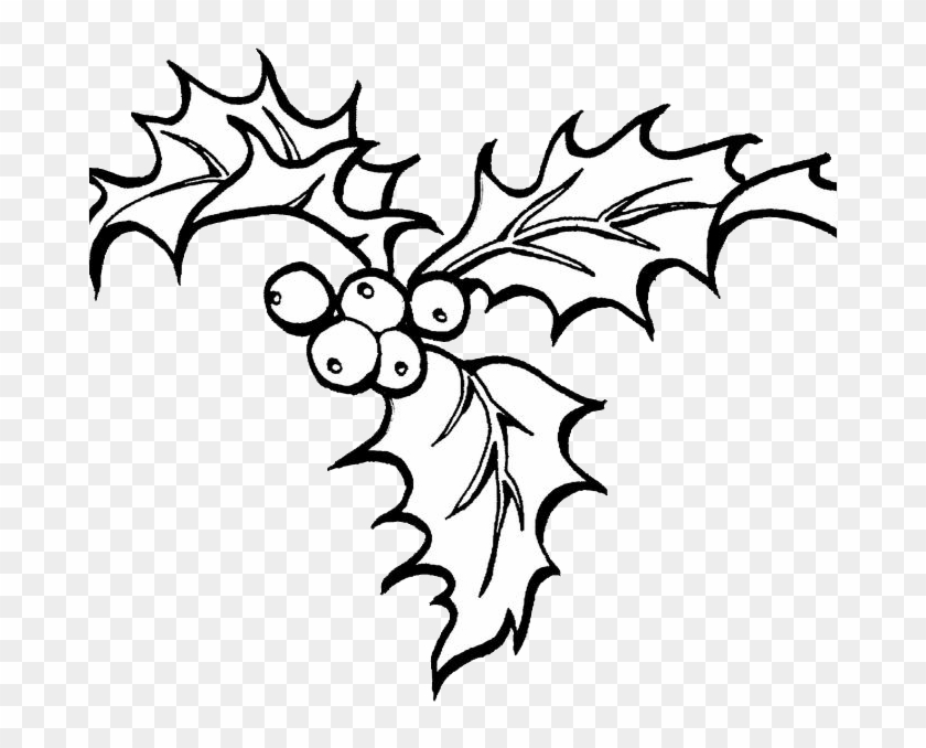 Christmas Coloring Pages Holly Clipart