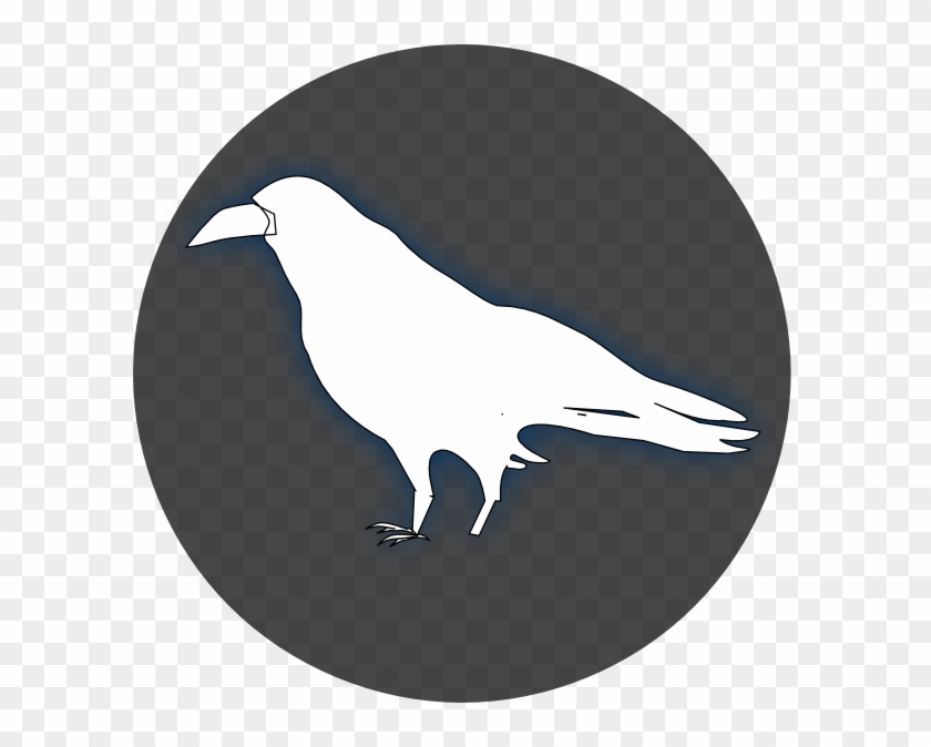 Raven Black Png Images Clipart
