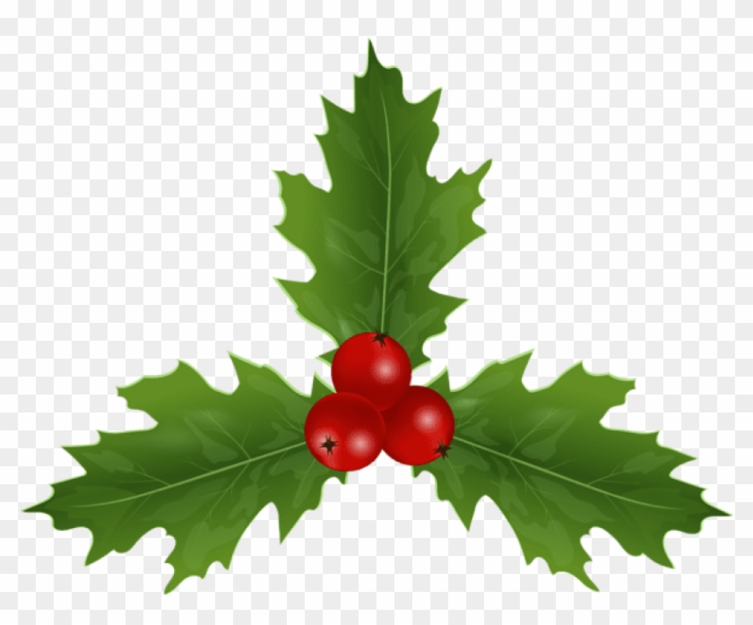 Free Png Christmas Holly Mistletoe Png Images Transparent - American Holly Clipart