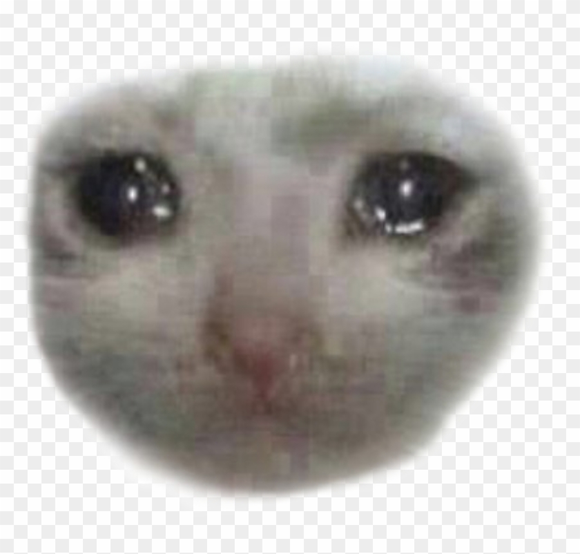 Sad Crying Cat Face Clipart