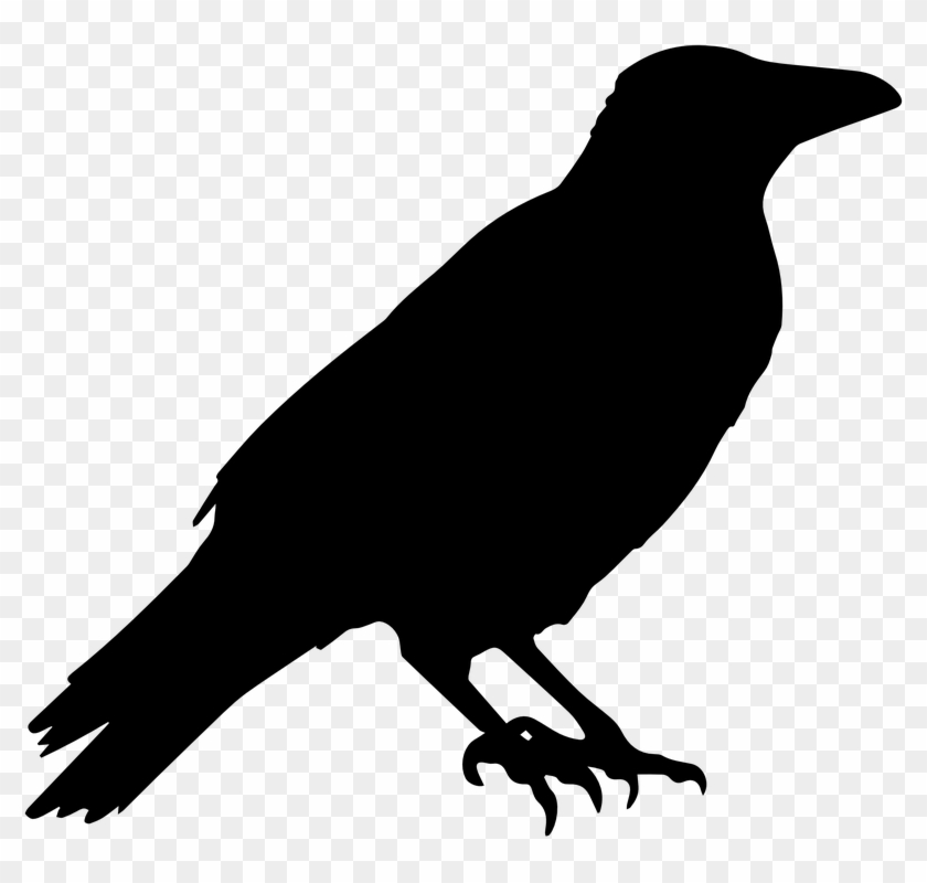 Crow, Raven, Animal, Halloween, Black, Dark, Bird - Crow Vector Clipart #519114