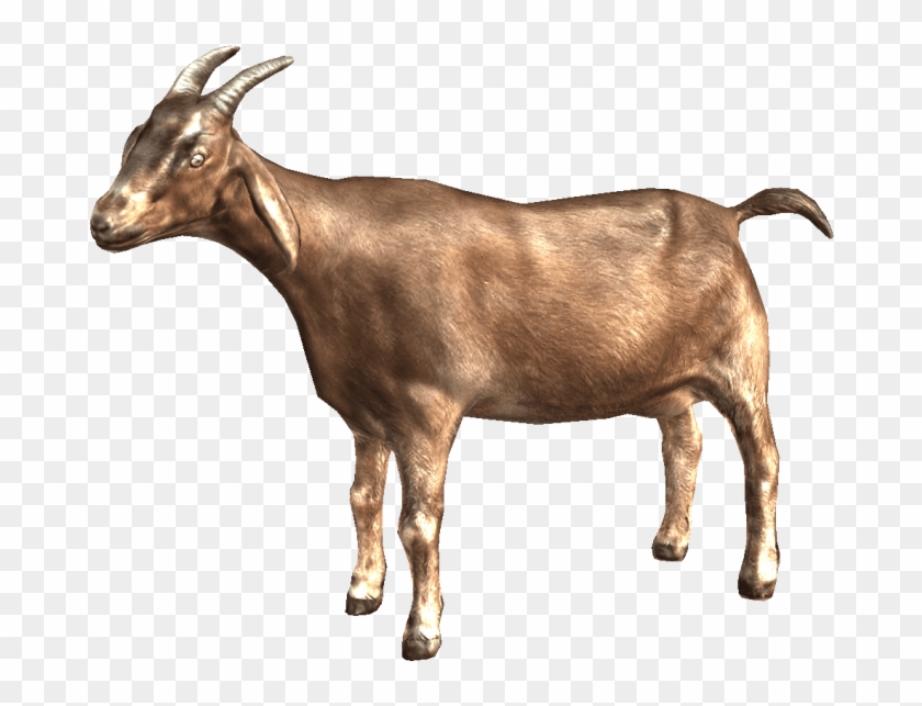 Download Goat Png Images Background - Transparent Background Goats Png Clipart #519309