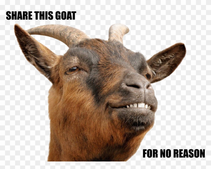 Goat Png Download Image - Goat Stock Clipart #519712