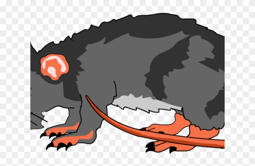 Rat Clipart Transparent Png #519714