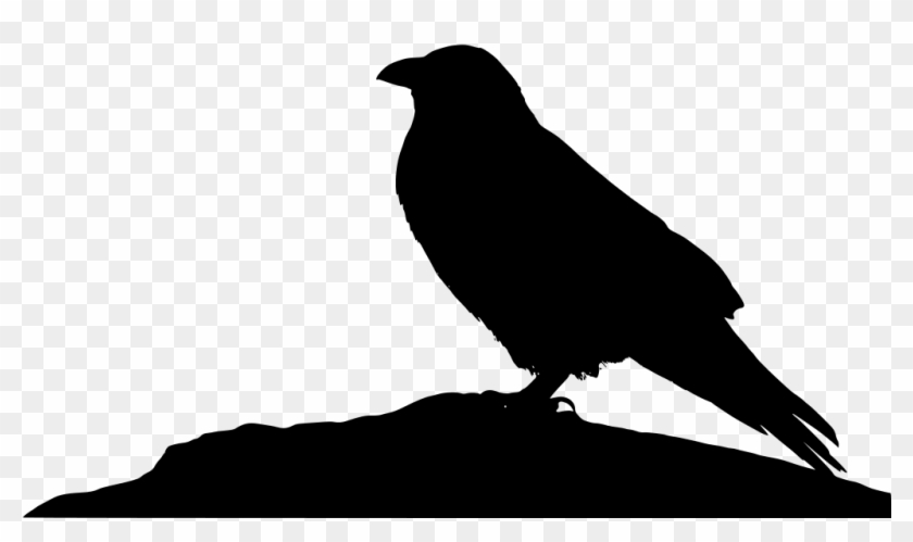 Download Png - Raven Clipart #519834