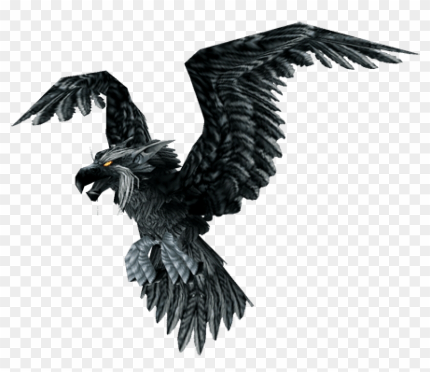 Free Png Download Raven Bird Png Images Background - Raven Bird Clipart #519836