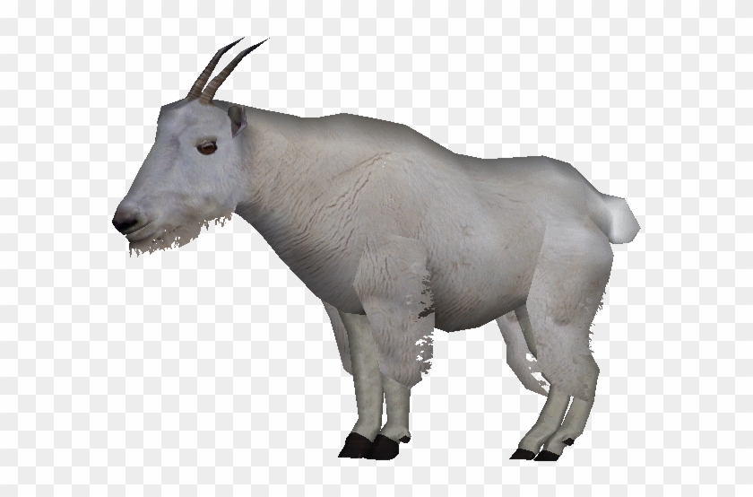 627 X 627 5 - Mountain Goat Transparent Clipart