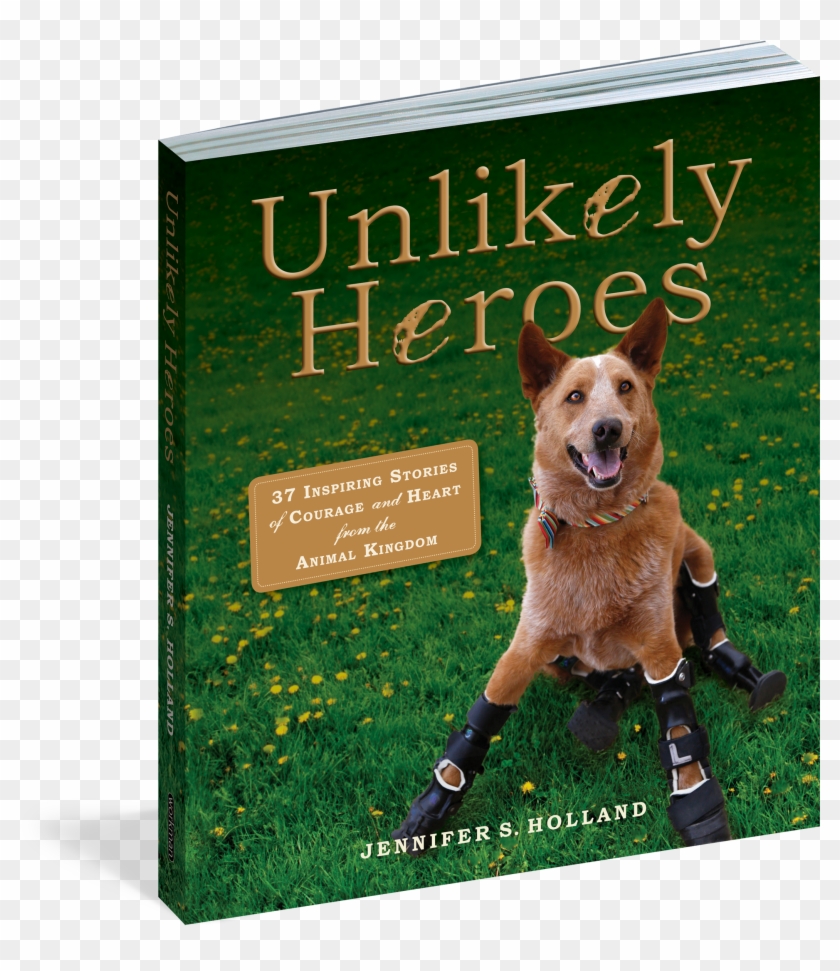 View Full Size Image - Dog Catches Something Clipart