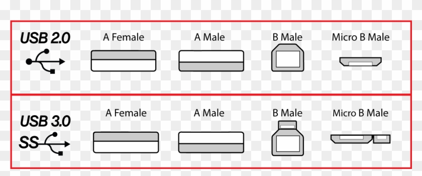 0 And - Difference Between Usb 2.0 Clipart #5100847
