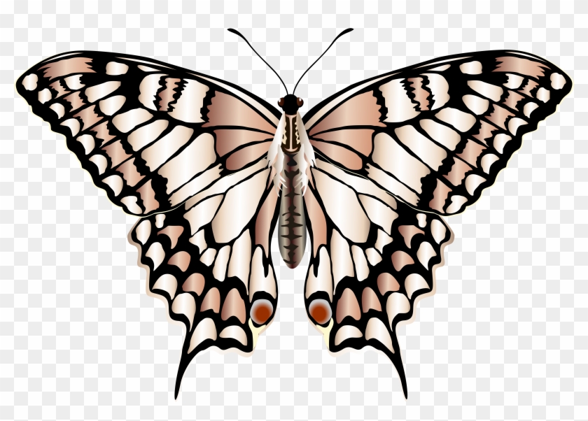 View Full Size - Papilio Machaon Clipart #5102724