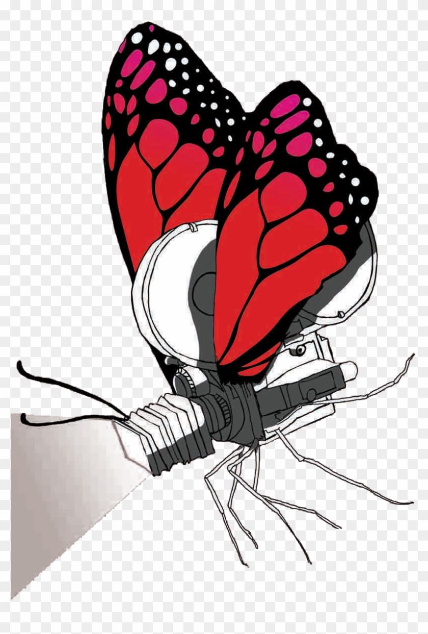 Download Transparent Png - Brush-footed Butterfly Clipart