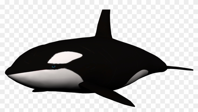 Black Whale Clipart - Killer Whale No Background - Png Download #5103048