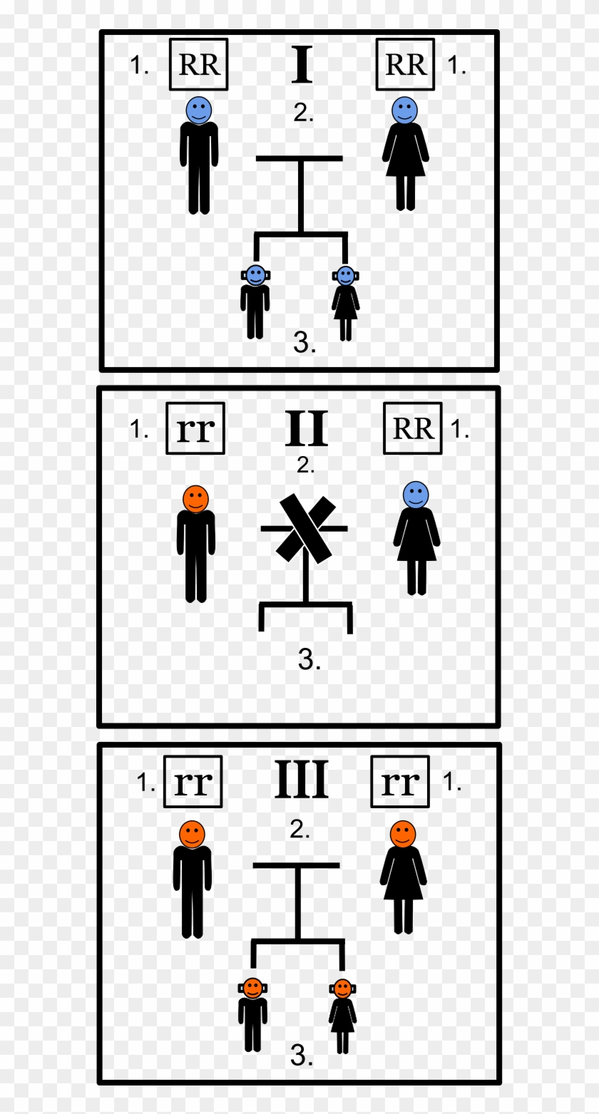 Green Beard Effect - Illustration Clipart