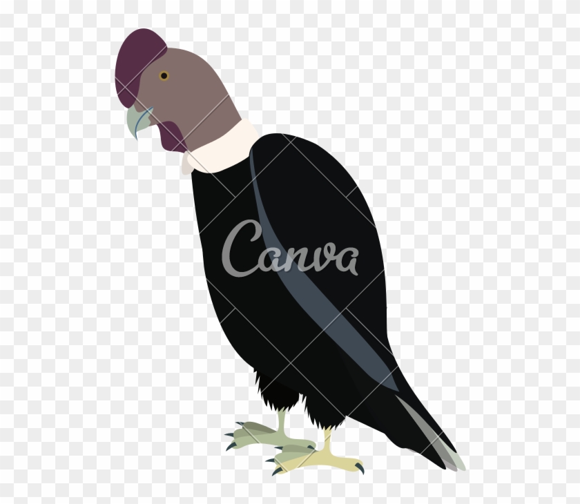Condor Drawing Icon - Canva Clipart #5103513