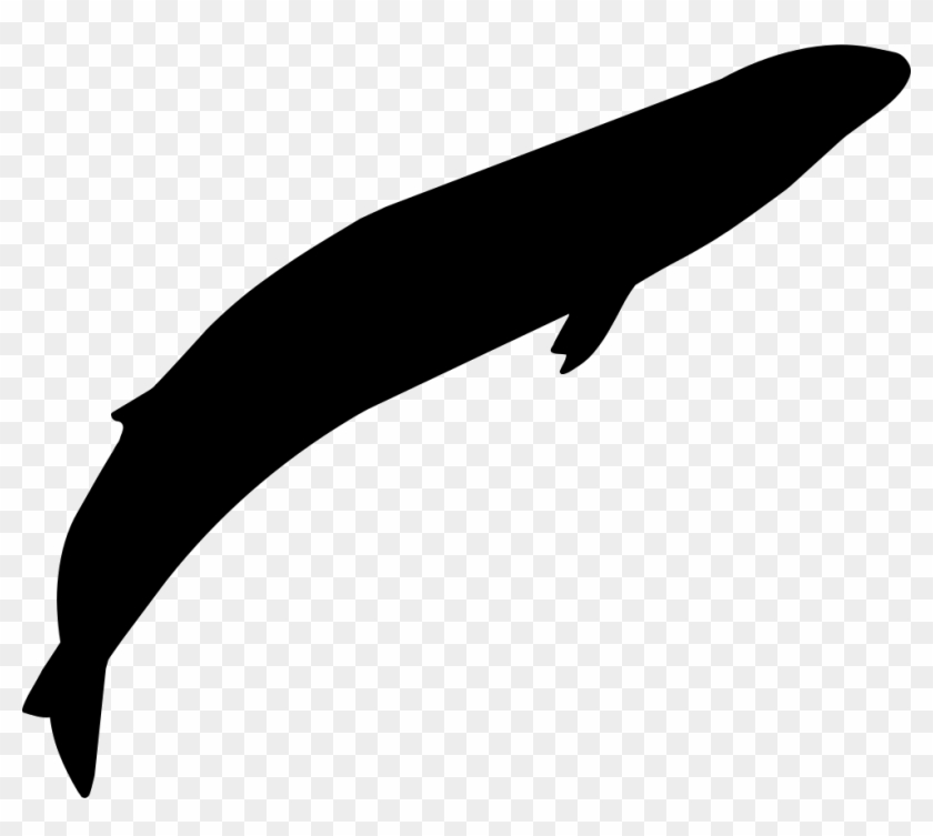 Png File Svg - Whale Clipart #5103516