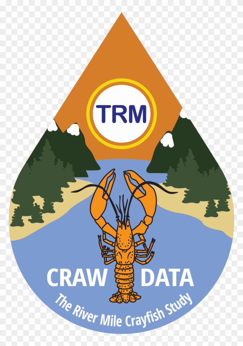 Join The Study And Contribute Valuable Data - Jai Telangana Clipart #5105364