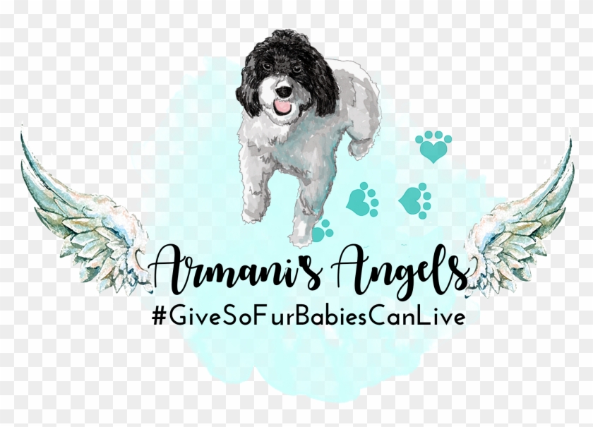 Armani's Angels - Dog Catches Something Clipart #5105459
