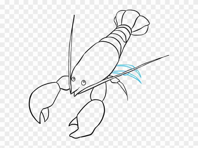 How To Draw - Drawings Of Yabbies Clipart