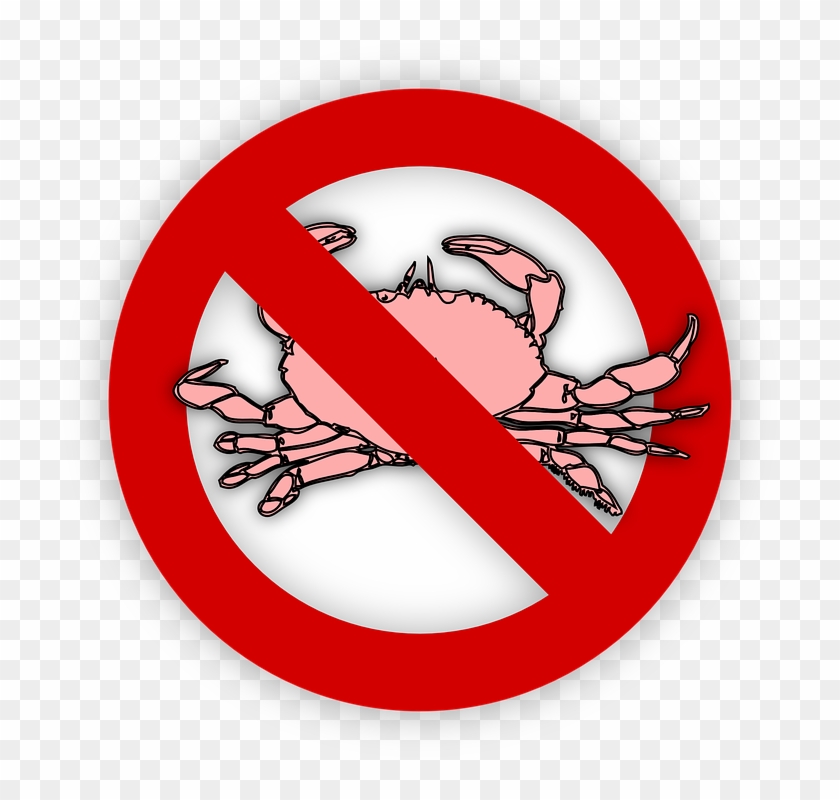 Crustacean Allergy Crab Crawfish Crayfish Drink - Alergia A Los Crustaceos Clipart #5105748