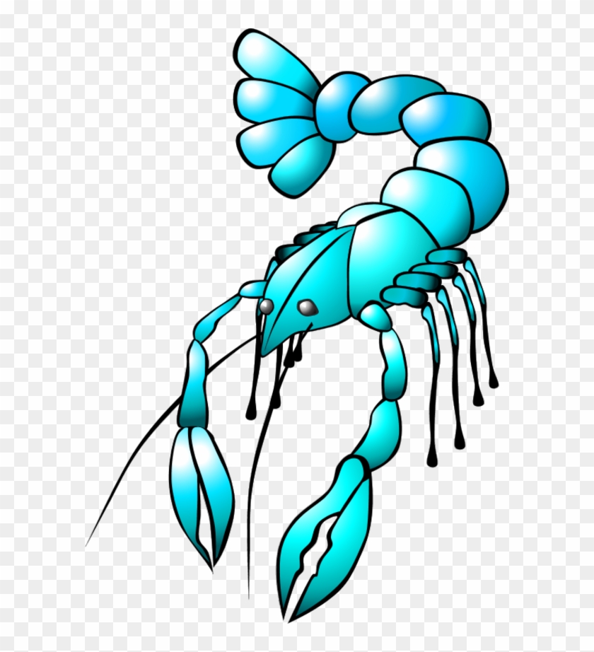 Vector Clip Art - Crayfish Clipart - Png Download #5105988