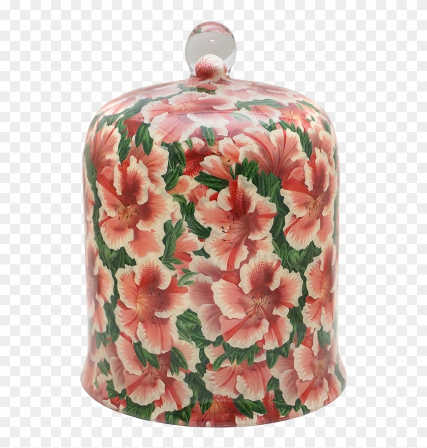 Dome Png Clipart #5105989