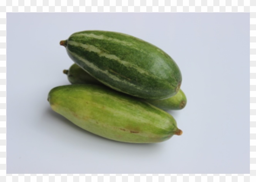 Pear Gourd - Cucumber Clipart #5106324