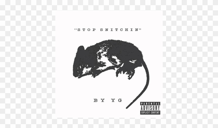 Stop Snitchin' - Yg Stop Snitchin Clipart #5106357