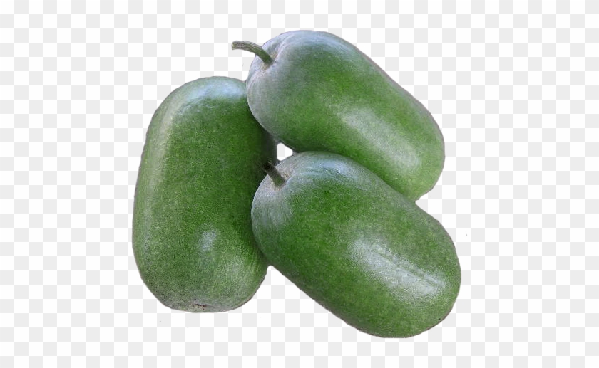 Ash Gourd Png Clipart #5106745