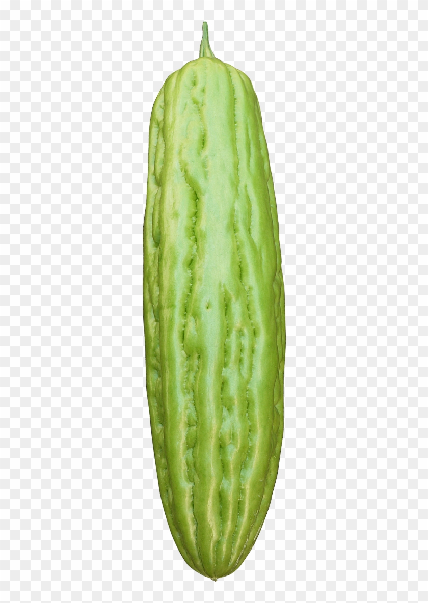 950 Top Form - Gourd Clipart #5106999