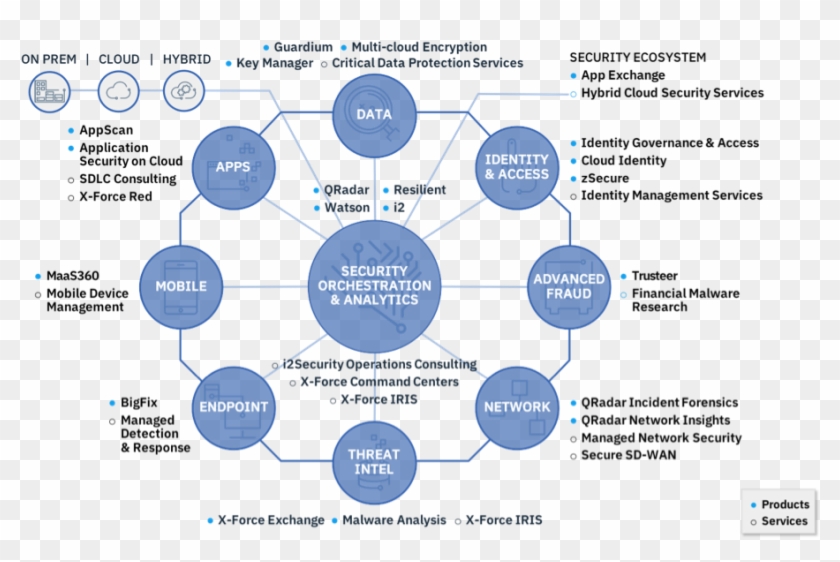 The Ibm Security Immune System - Ibm Security Immune System Clipart #5107136