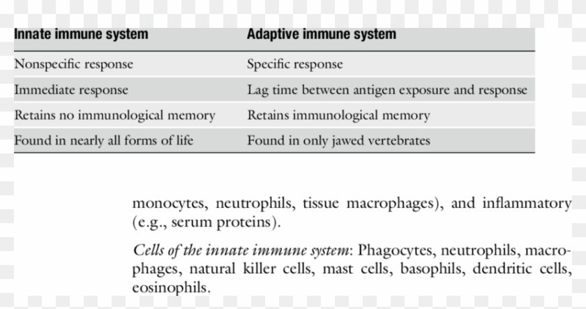 Difference Between Innate And Adaptive Immune Systems - Innate Immunity Adaptive Immunity Differences Clipart #5107170