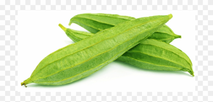 Ridge Gourd Turai Clipart