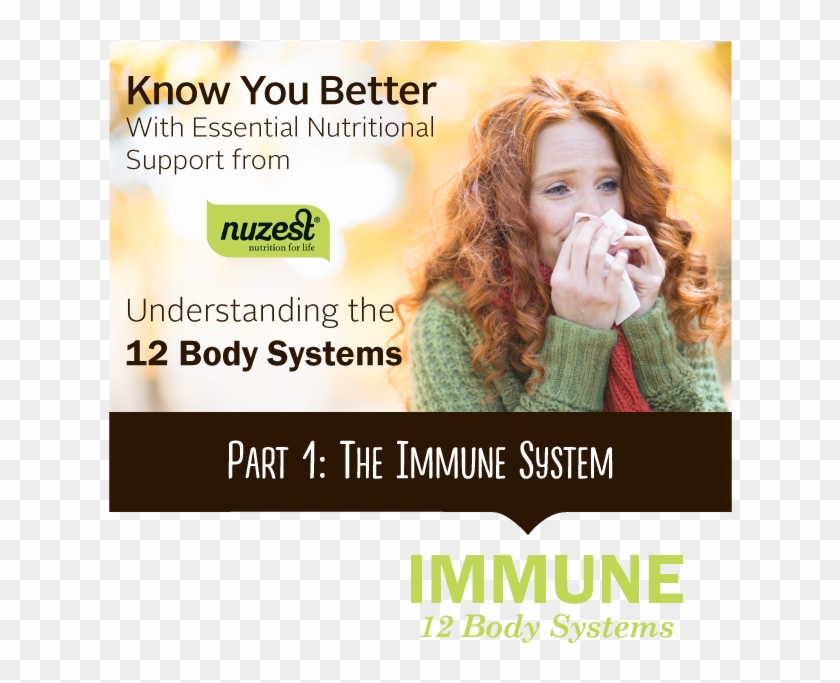 12 Body Systems Part - Girl Strawberry Blonde Hair And Hazel Eyes Clipart