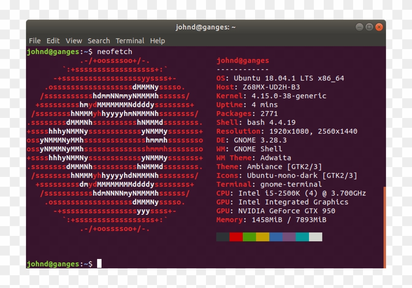 Uma Dessas Ferramentas É Neofetch , Um Script De Informações - Termite Ubuntu Clipart #5109037