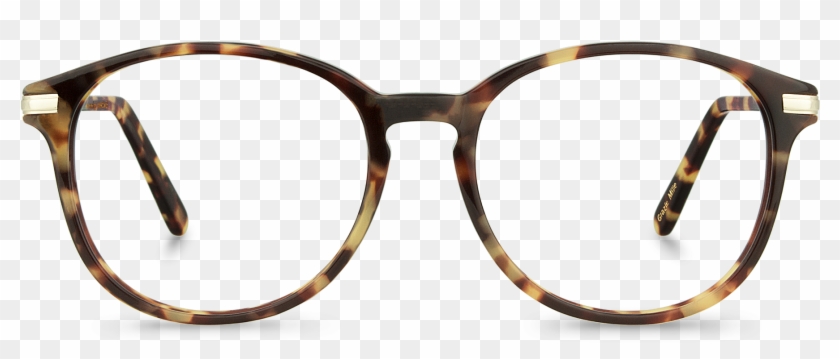 Macro Photography Clipart #5109698