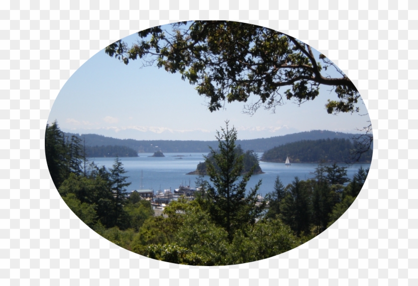 The Deer Harbor Inn On The Sunny Side Of Beautiful - Loch Clipart