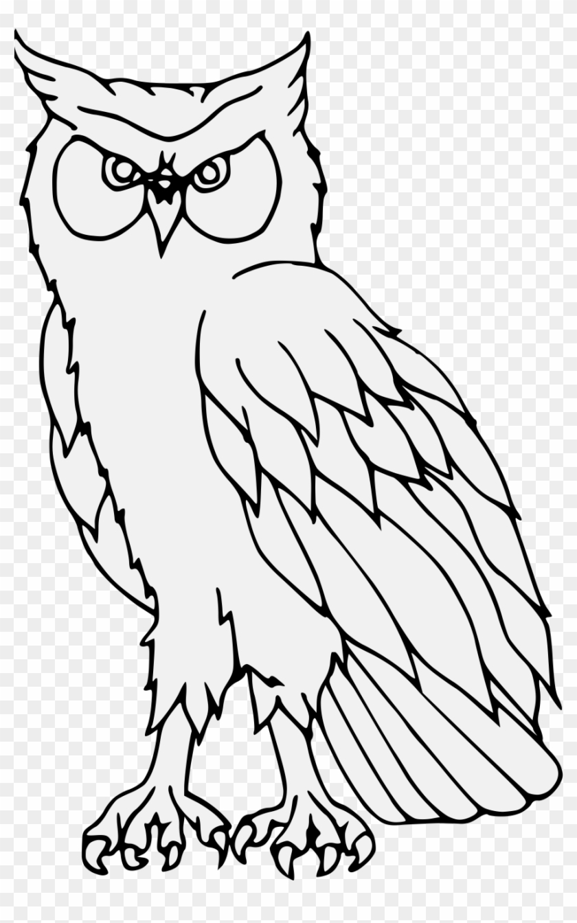 Details, Png - Eastern Screech Owl Clipart #5111249