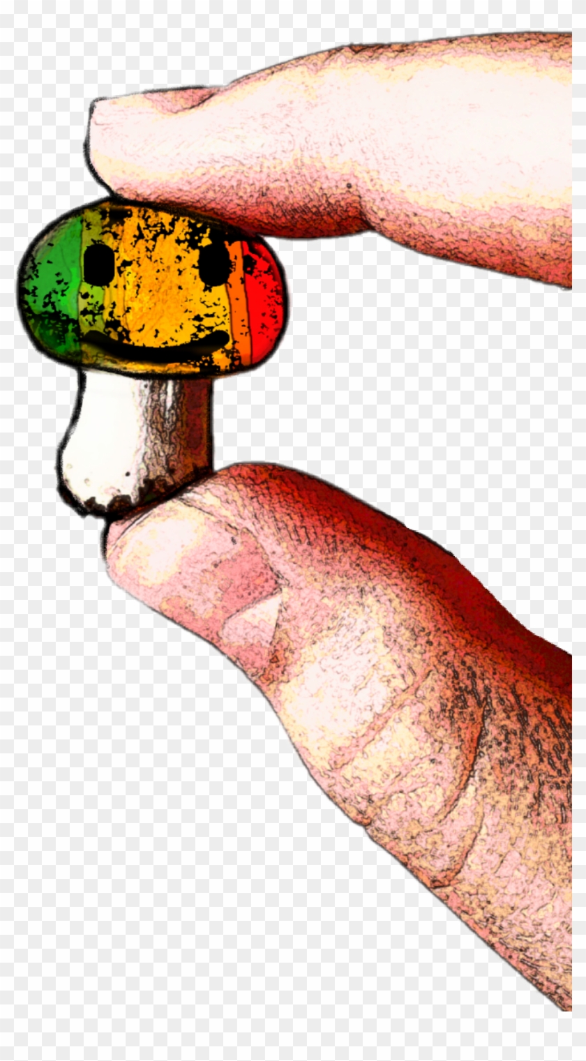 #champignon #vertjaunerouge #greenyellowred #smiley - Macro Photography Clipart