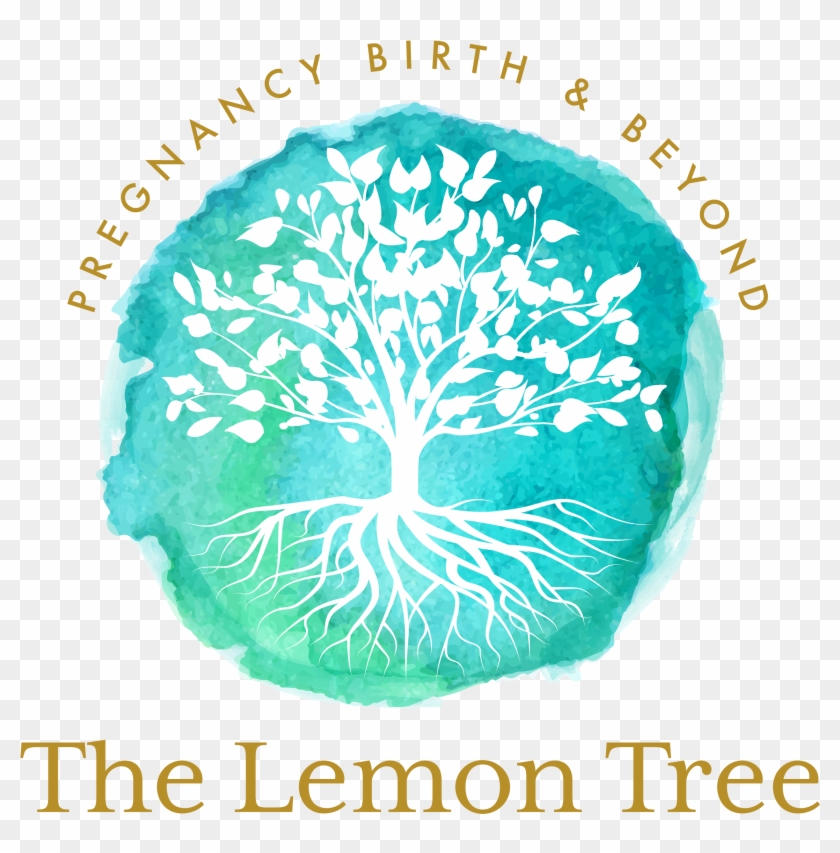 Circle Clipart #5112145