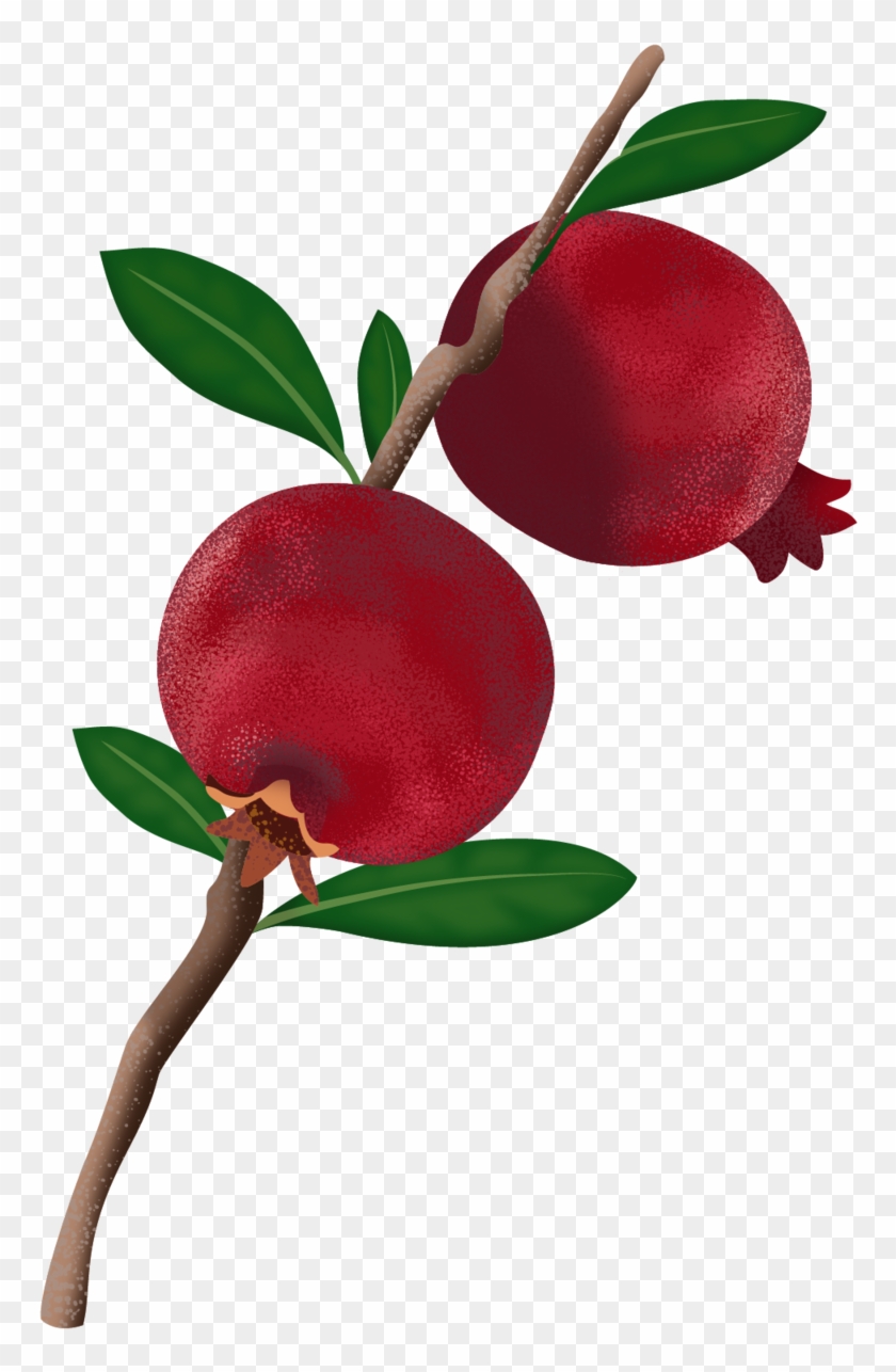 Dwarf Citrus Trees Meyer - Fruit Tree Png Clipart