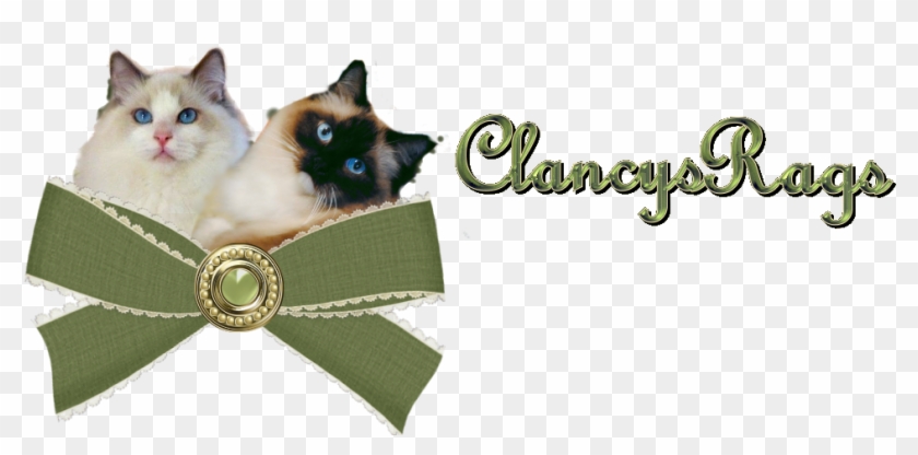 Download Transparent Png - Siamese Clipart